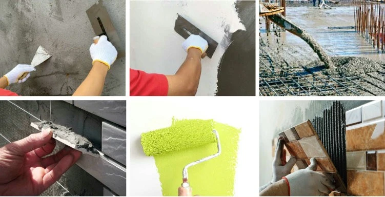 Building Material Rdp Equal to Dow DLP 212 for Wall Putty